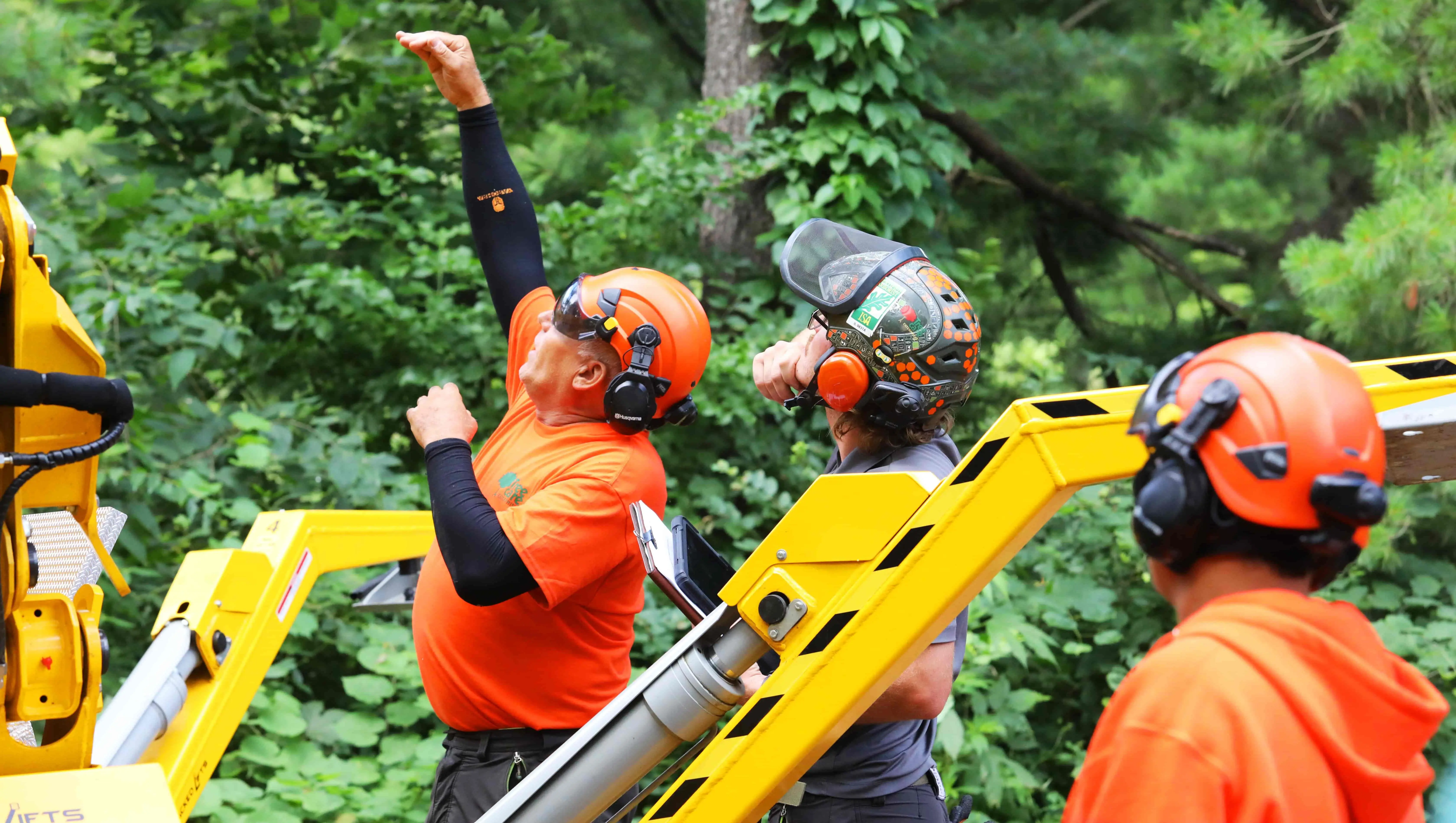 Discovery Center Museum to Tree Care Enterprises