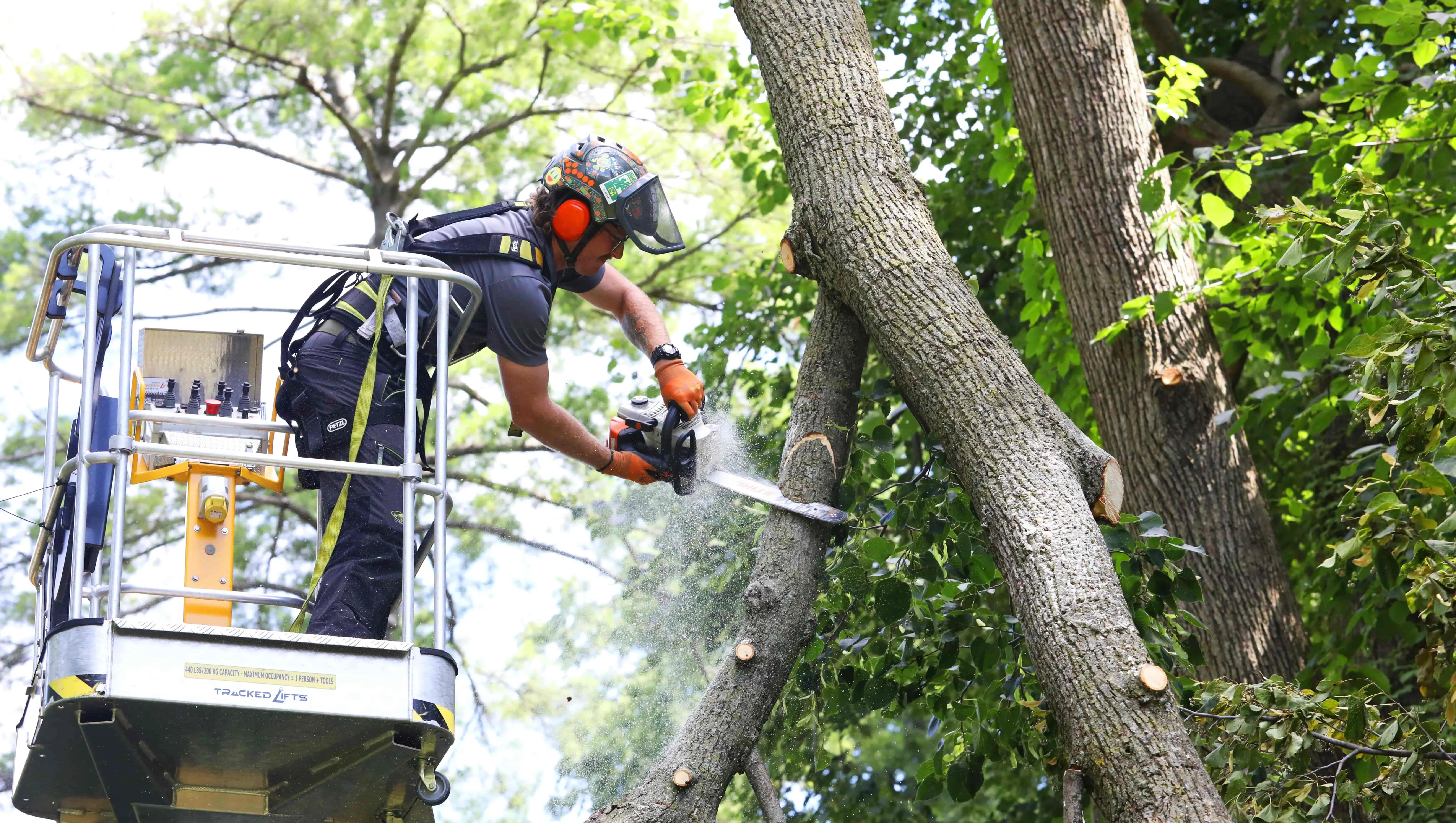 Anderson Japanese Gardens to Tree Care Enterprises