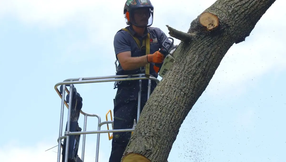 Burpee Museum of Natural History to Tree Care Enterprises