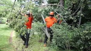 Lake Geneva Shore Path to Tree Care Enterprises-Lake Geneva