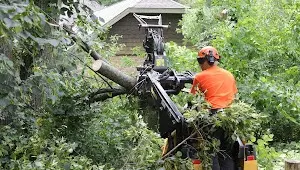 Big Foot Beach State Park to Tree Care Enterprises-Lake Geneva