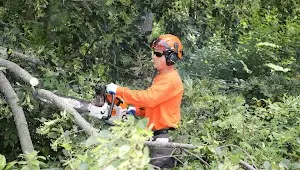Riviera Beach to Tree Care Enterprises-Lake Geneva