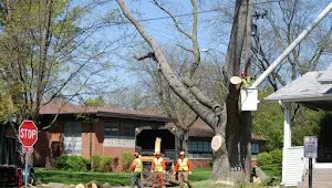 Geneva Lake Museum to Tree Care Enterprises-Lake Geneva