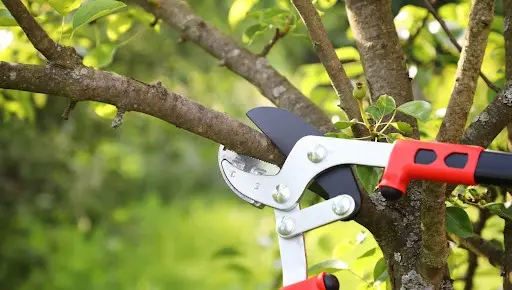 Flat Iron Park to Tree Care Enterprises-Lake Geneva