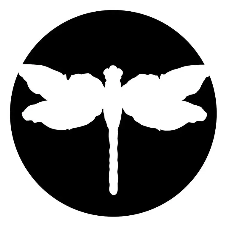 The Dragonfly Agency
