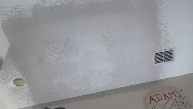 Fort Worth Zoo to DFW Superior Drywall Pros